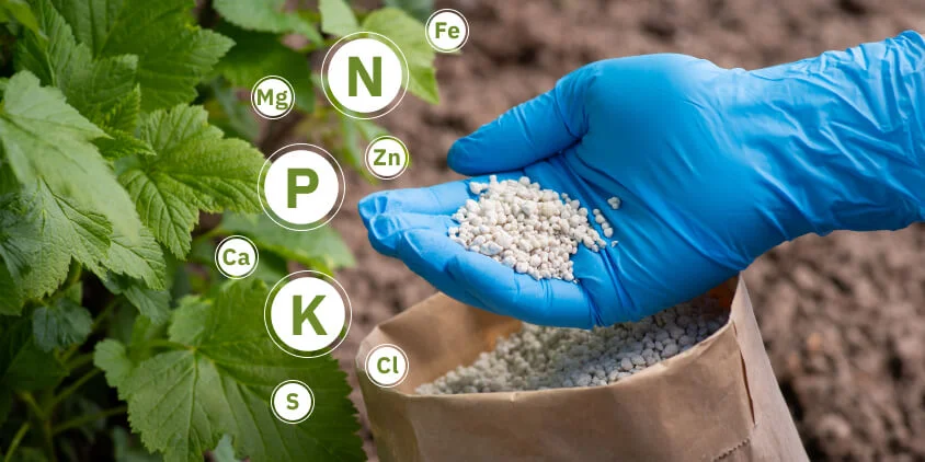 fertilizantes-agricolas