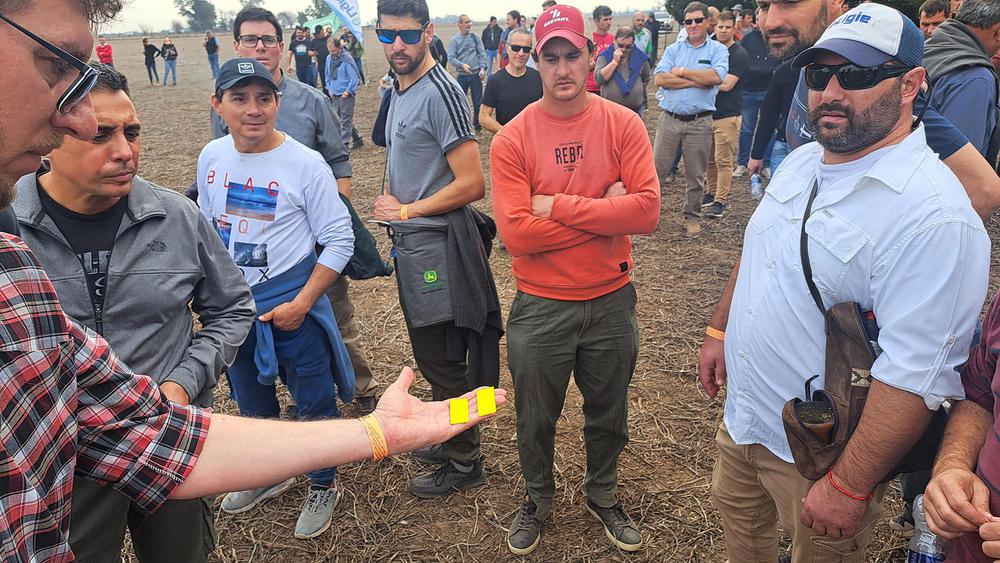 Demostraciones de aplicaciones