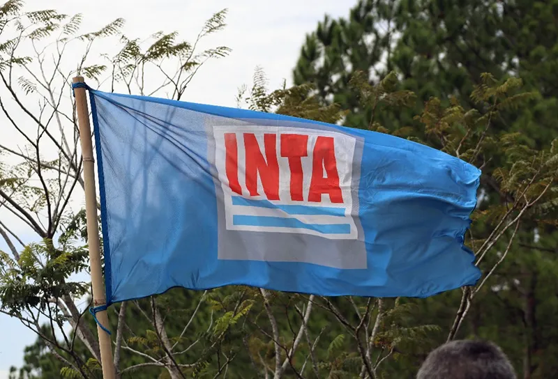 CN-INTA