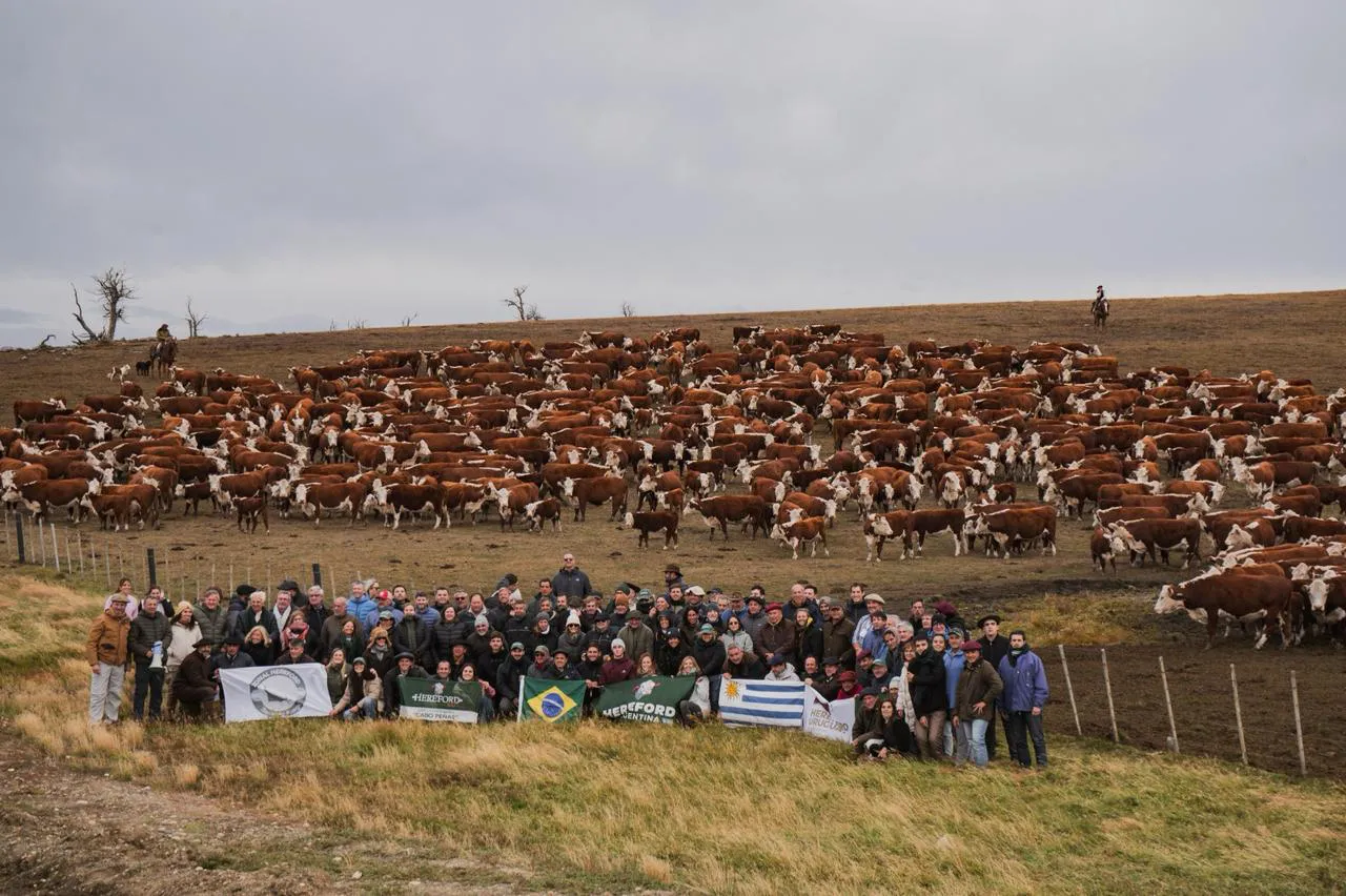 eb13b6f7-ba01-42b6-8bf0-4cfc8d559f73