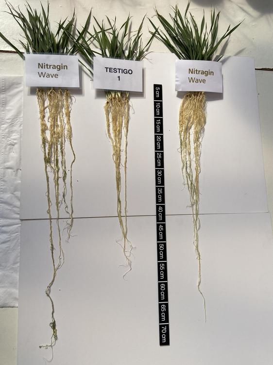 unnamed - 2024-05-04T233520.837