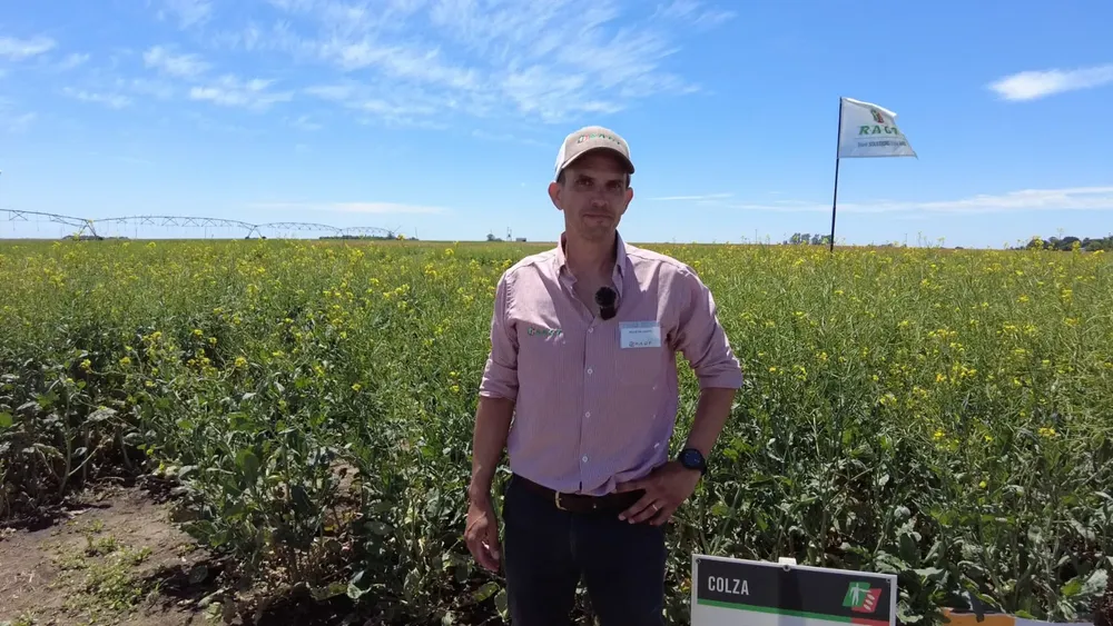 Agustín Cantó RAGT Semillas en colza