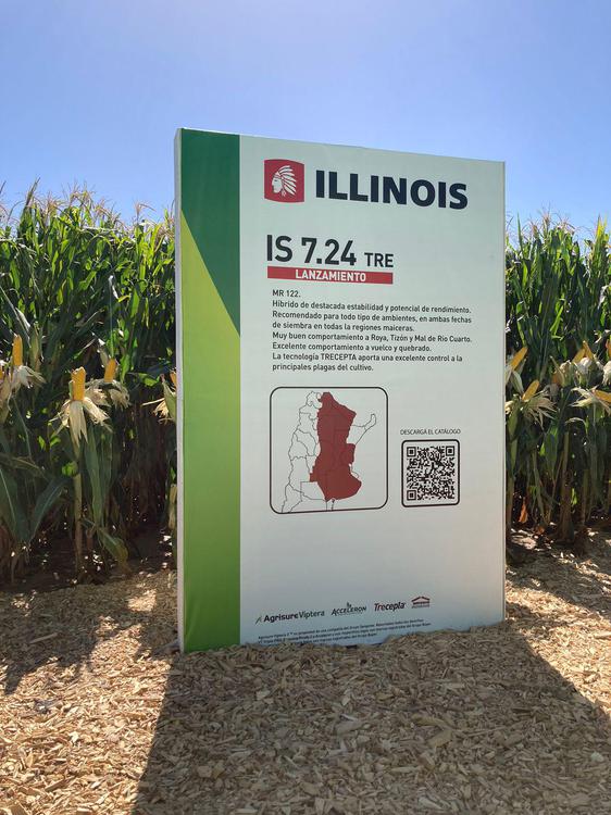 WhatsApp Image 2024-03-05 at 16.20.22