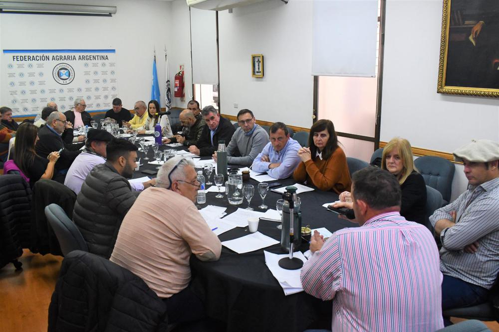 WhatsApp Image 2023-08-03 at 16.44.47