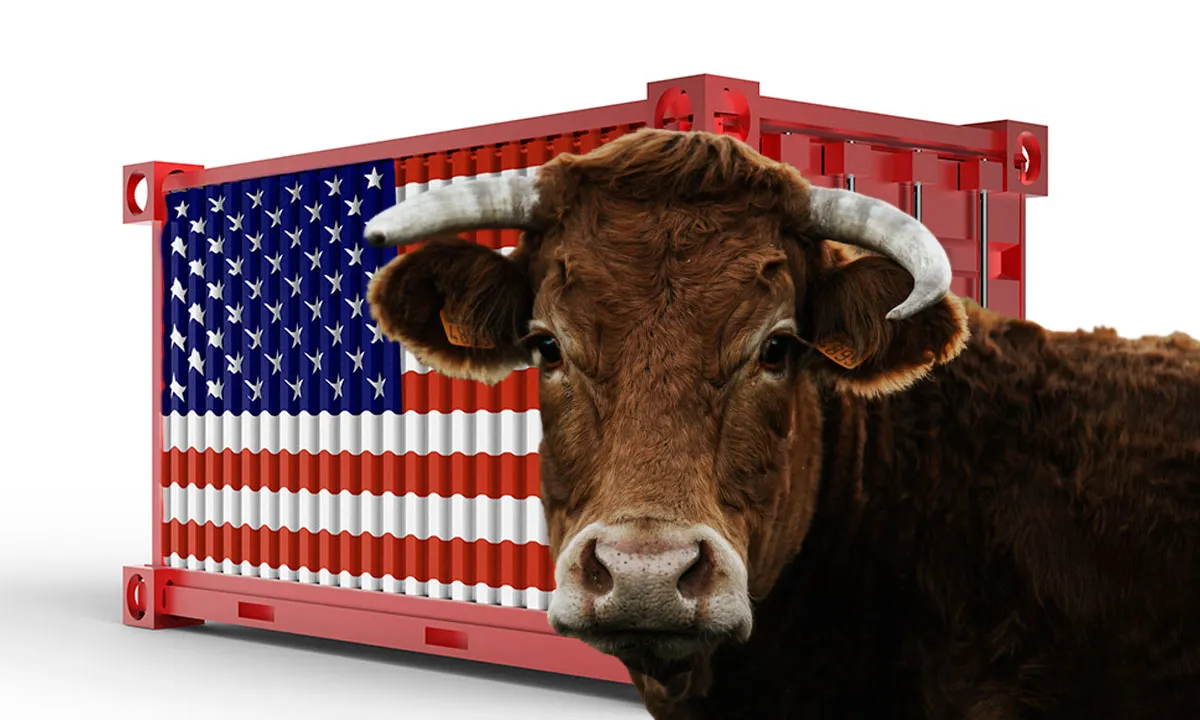 CN-Toros usa