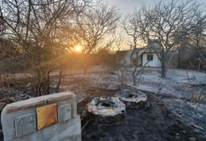 WhatsApp Image 2020-08-27 at 8.14.50 PM (1)