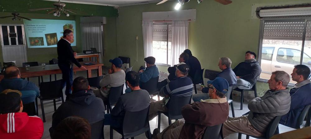 unnamed - 2023-08-02T130840.890