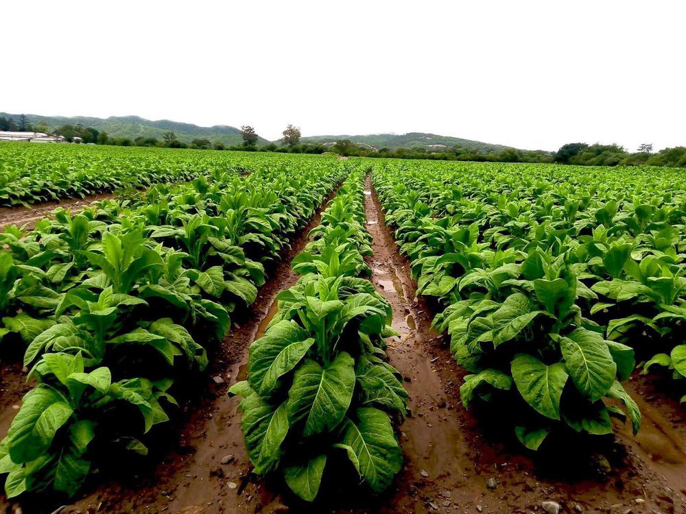 unnamed - 2023-06-24T150541.429