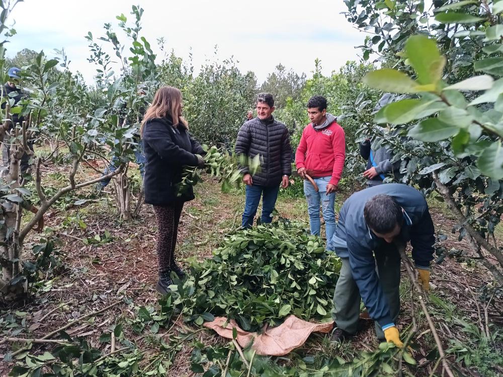 unnamed - 2023-06-24T142945.882