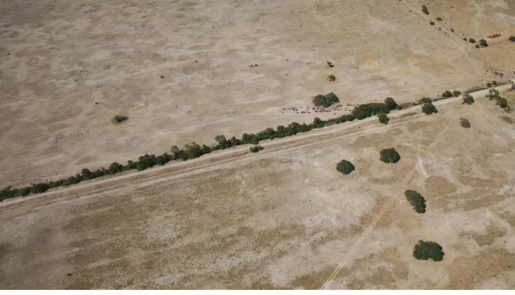 CN-EMERGENCIA SANTA FE