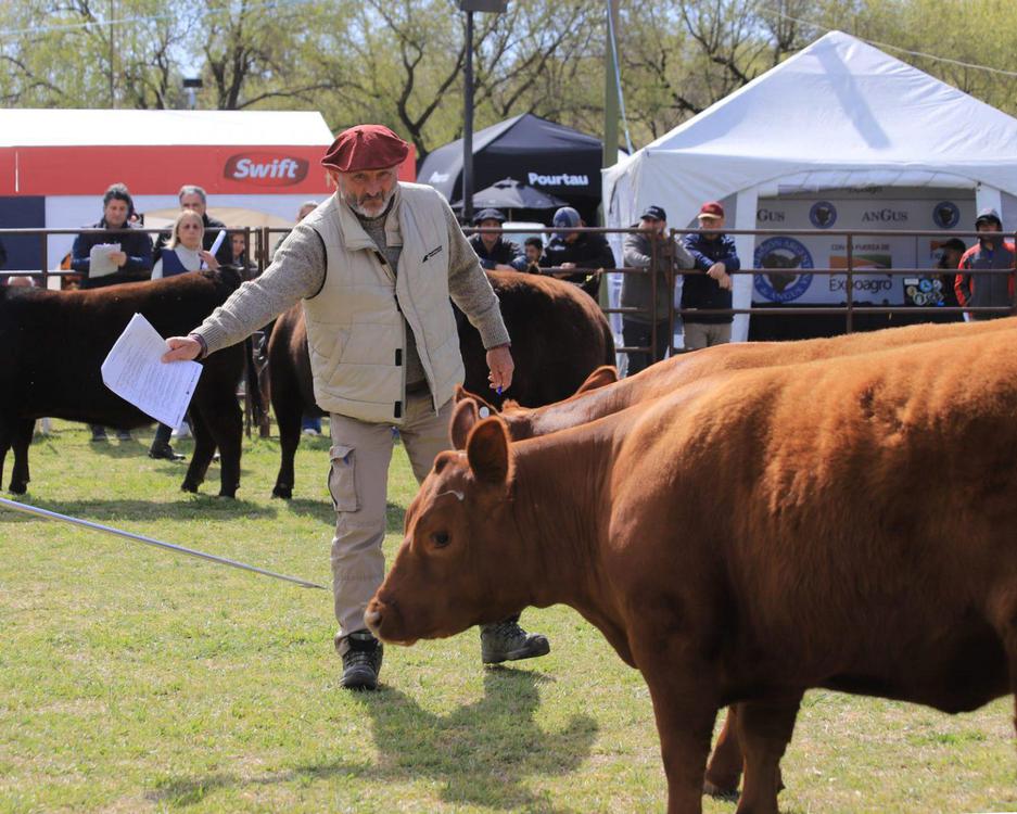 WhatsApp-Image-2023-09-19-at-19.35.25-1536x1229