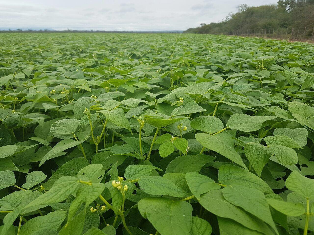 unnamed - 2024-05-29T041341.246