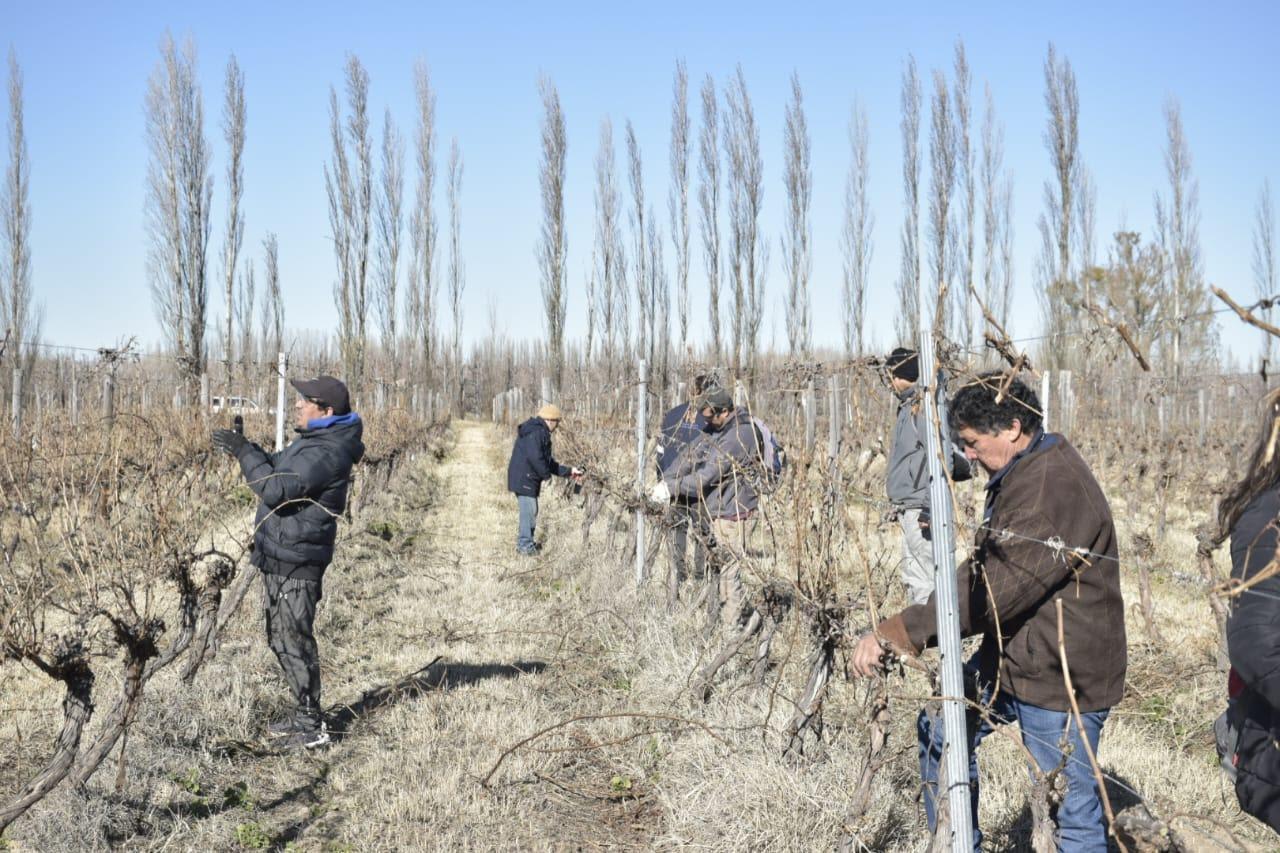 unnamed - 2023-08-22T221634.170