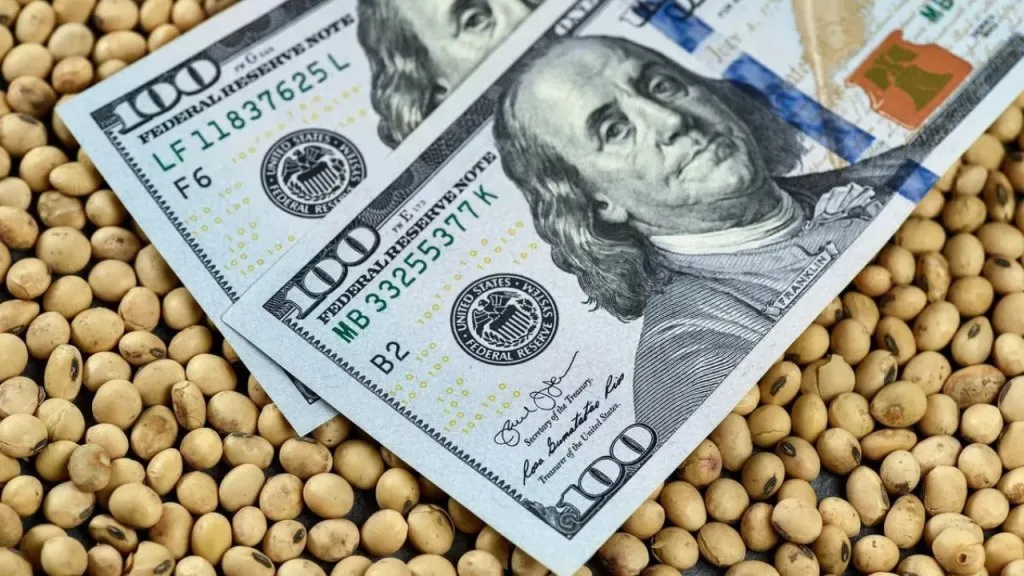 CN-dolar agro