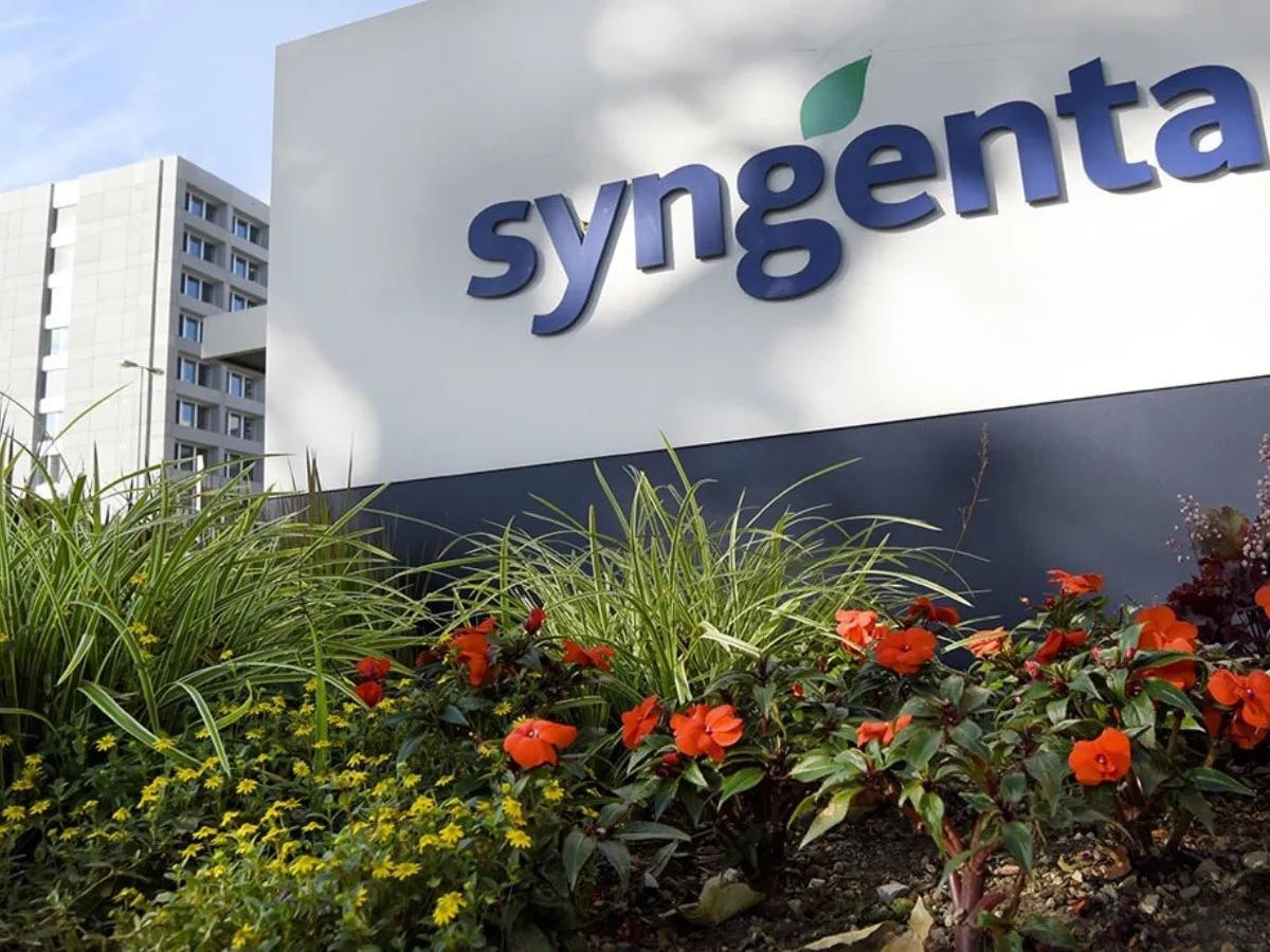 CN -Syngenta