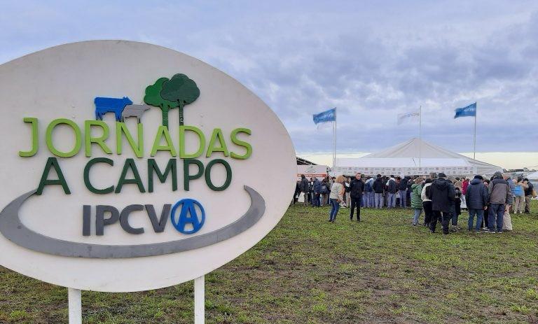 CN-ipcva jornada