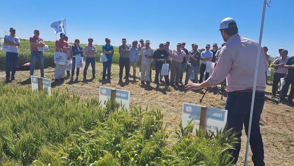 Explicando sanidad RAGT