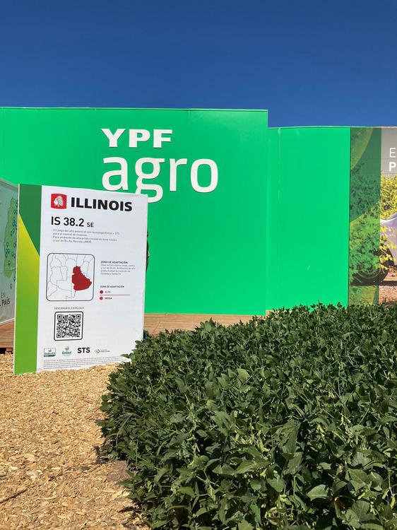 WhatsApp Image 2024-03-05 at 16.20.25