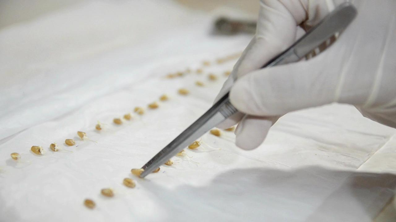 unnamed - 2024-07-19T113121.128