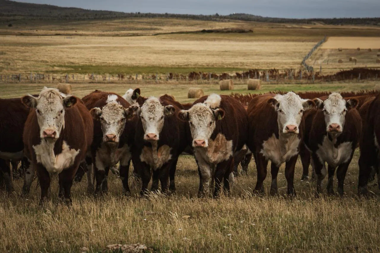 381b0bdd-71b2-4deb-9041-fe81aab70503